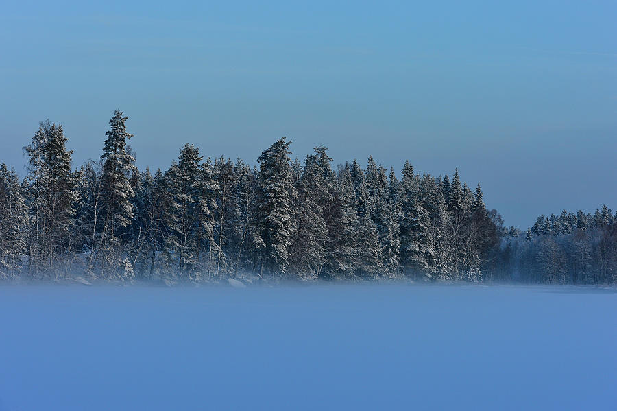 Snow In The Trees And Fog On The Frozen Lake, Bolmsjn, Halland, Sweden Photograph by Torsten Rathjen