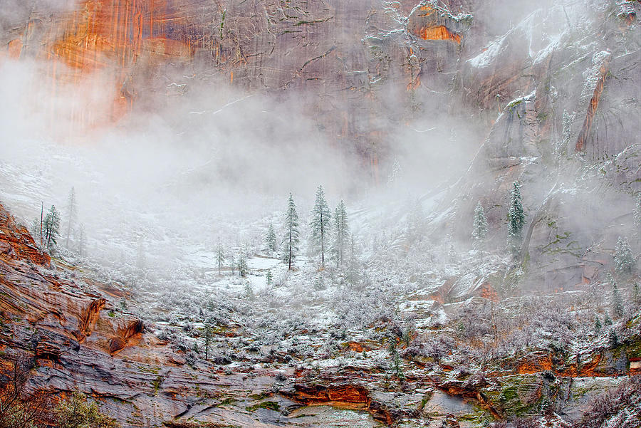 Landscape Photograph - Snow In Zion National Park, Utah by Buddyhawkins