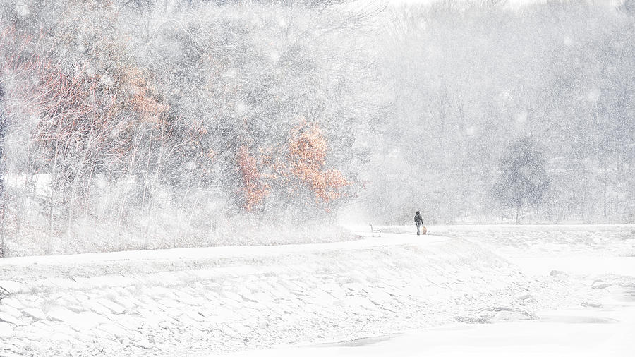 Winter Photograph - Snow by Jm Fan