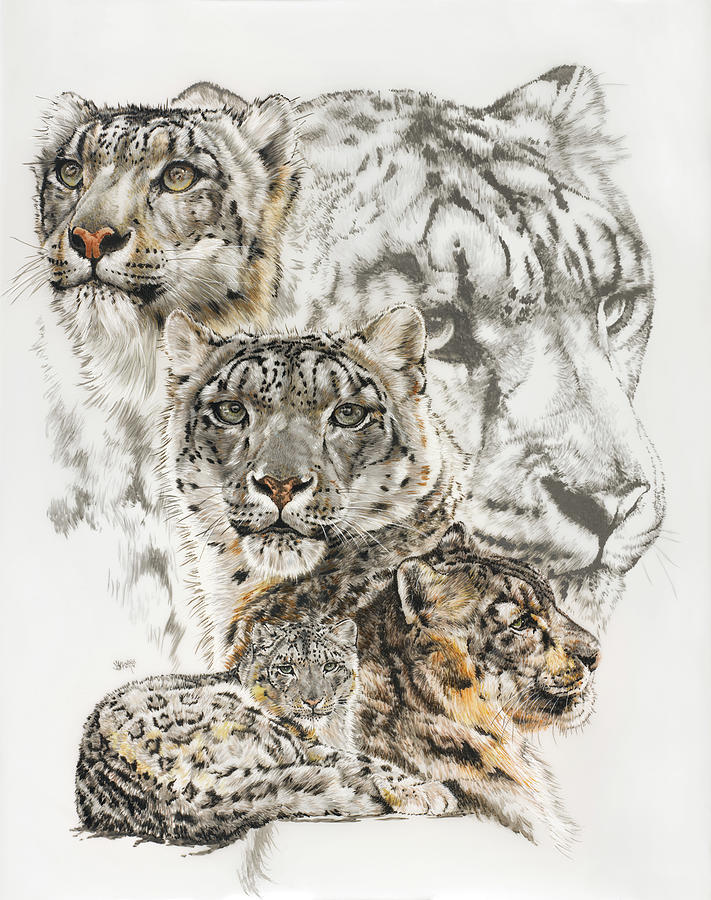 Snow Leopard Painting - Snow Leopard And Ghost Image by Barbara Keith