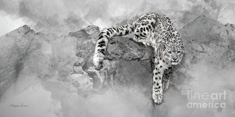 Ghost of the Mountain by Brad Allen Fine Art Ghost of the Mountain by Brad Allen Fine Art