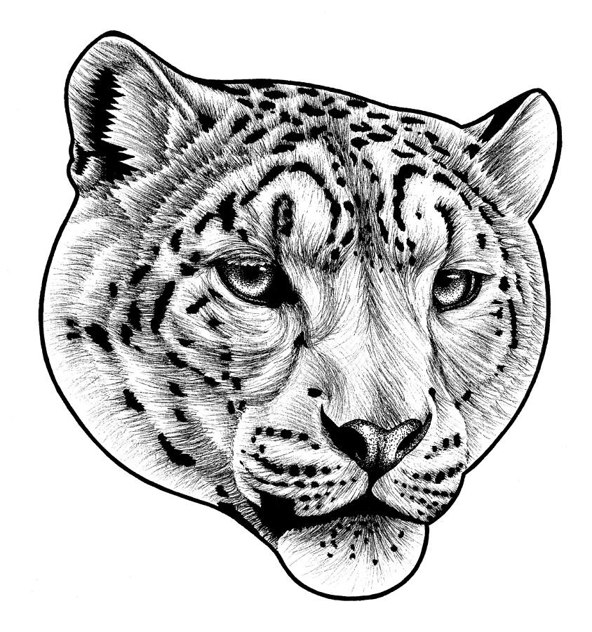 Snow leopard - ink illustration Drawing by Loren Dowding