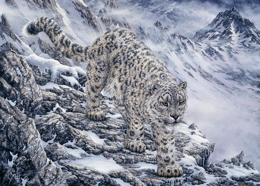 Snow Leopard Painting by Jeff Tift