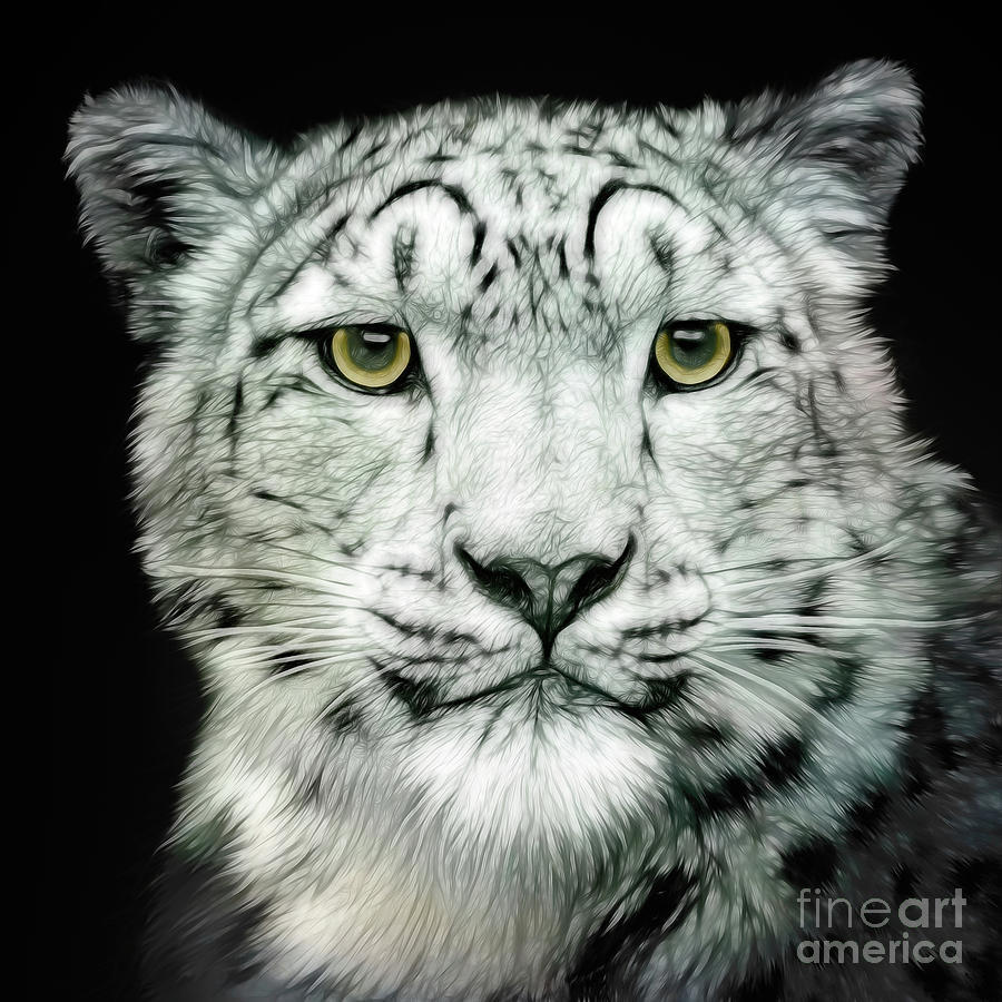 Snow Leopard Mixed Media by Linsey Williams