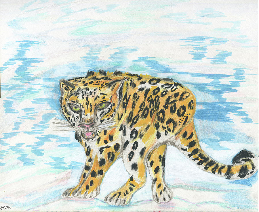 Yellowstone National Park Drawing - Snow Leopard  by Merrill Mitchell