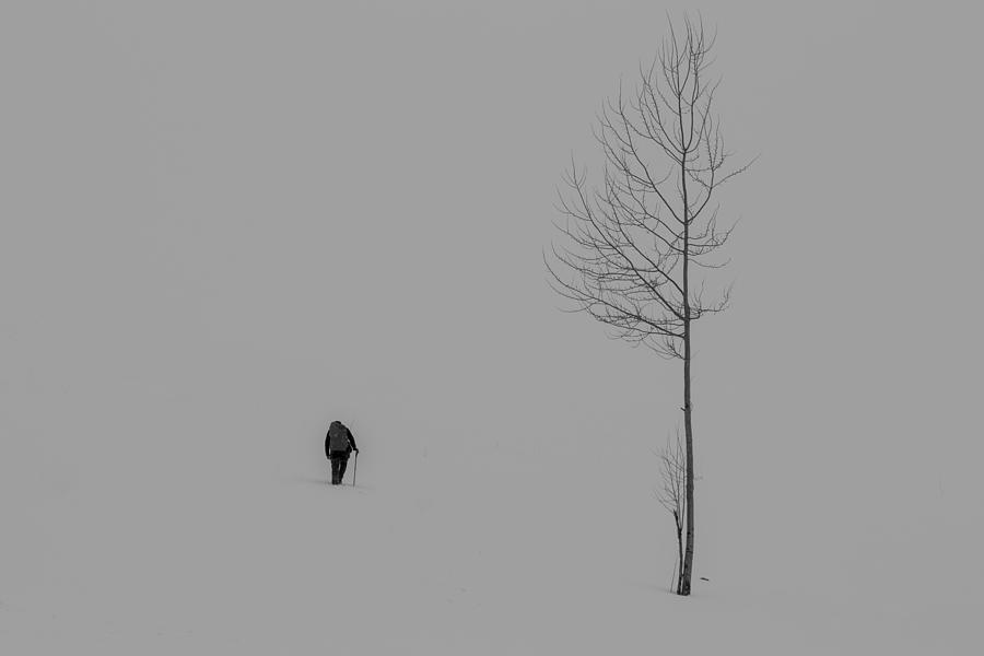 Snow Man Photograph by Mahshad Razavi