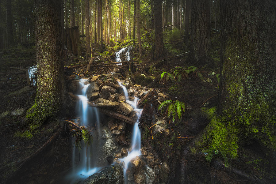 Snow Melt Photograph by James Xiang