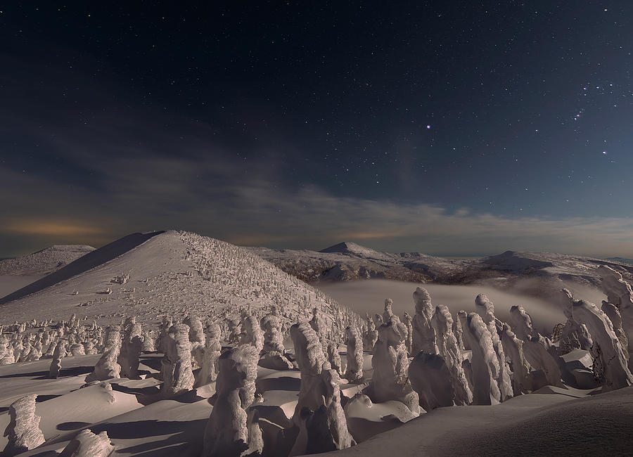 Snow Monsters At Night 2 Photograph by Yuta Kimura