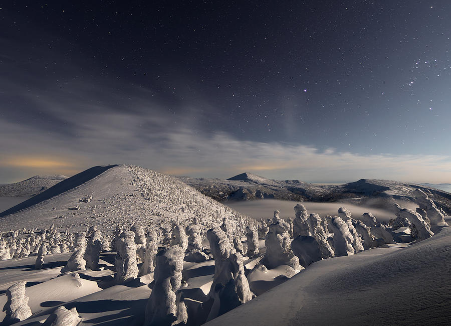 Snow Monsters At Night Photograph by Yuta Kimura