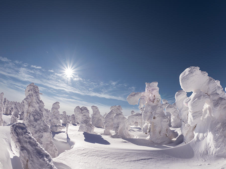 Snow Monsters Under Blue Sky Photograph by Yuta Kimura