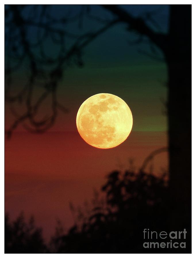 Snow Moon by Leslie Hunziker Snow Moon by Leslie Hunziker
