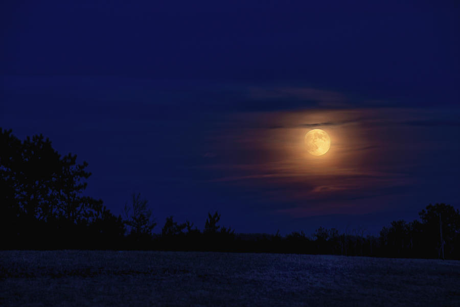 Snow Moon Photograph by Steve Gravano