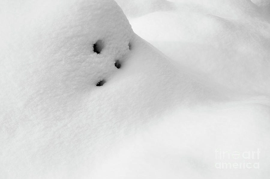 Snow Mounds Photograph by Jim Corwin