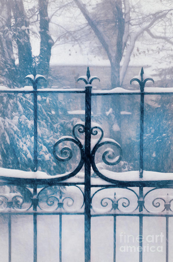 Snow on Iron Gate Photograph by Jill Battaglia