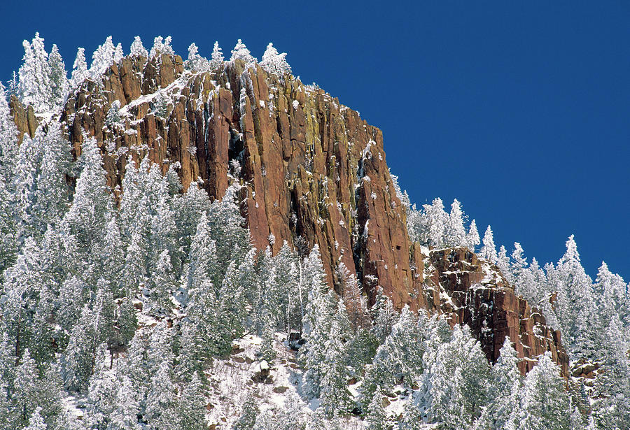 Snow On Pines & Rocky Crag  Colorado Photograph by Nhpa