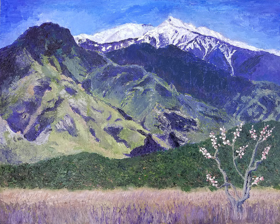 Snow on the Canigou Painting by Vera Smith
