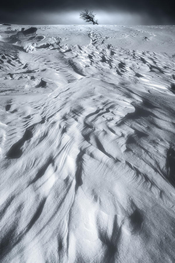 Snow Pattern Photograph by Masaki Sugita
