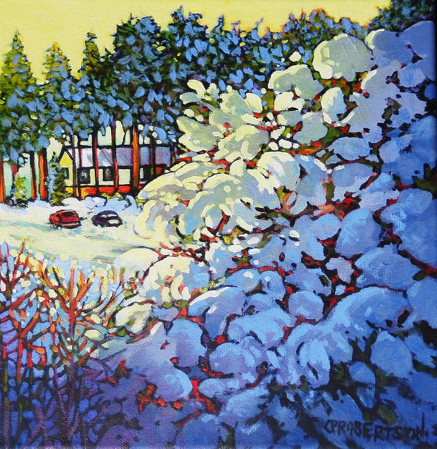 Snow Patterns on the Pine by Catherine Robertson Snow Patterns on the Pine by Catherine Robertson