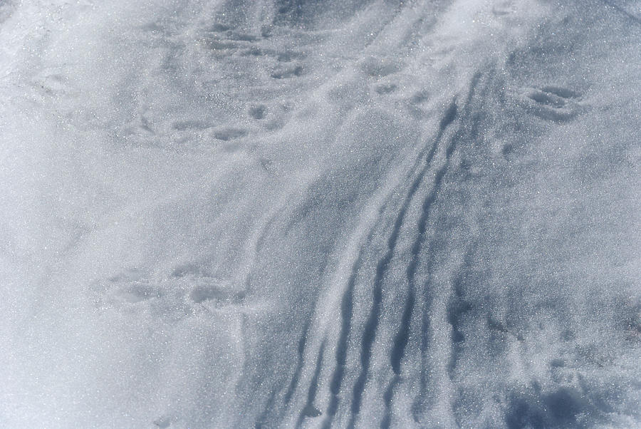 Winter Photograph - Snow Patterns Sunny Winter Day by Anthony Paladino