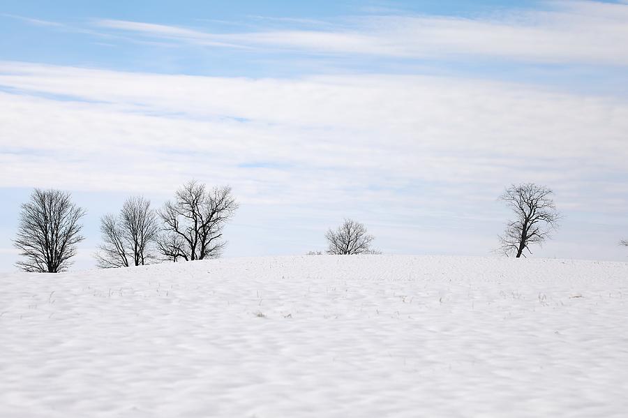 Snow Scene  Photograph by Scott Burd