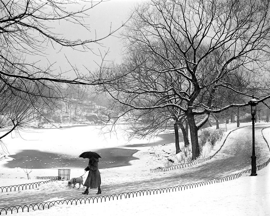 Snow Scenes In Central Park Photograph by New York Daily News Archive