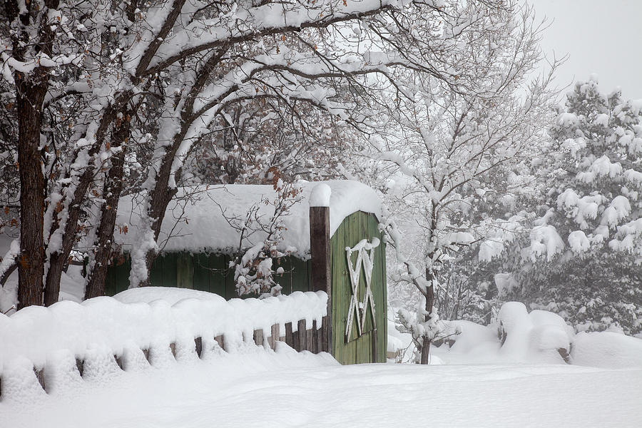 Snow Season Photograph by Diana Powell