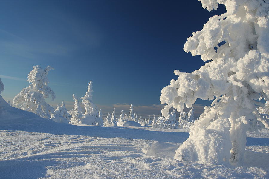 Snow Photograph by Sieto