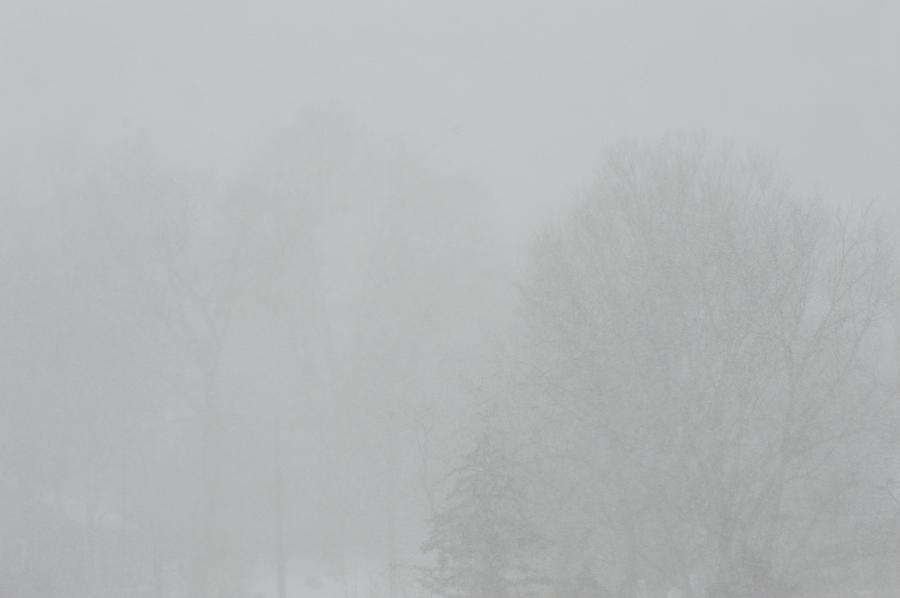 Snow Storm In Winter Photograph by Lyle Crump - Fine Art America