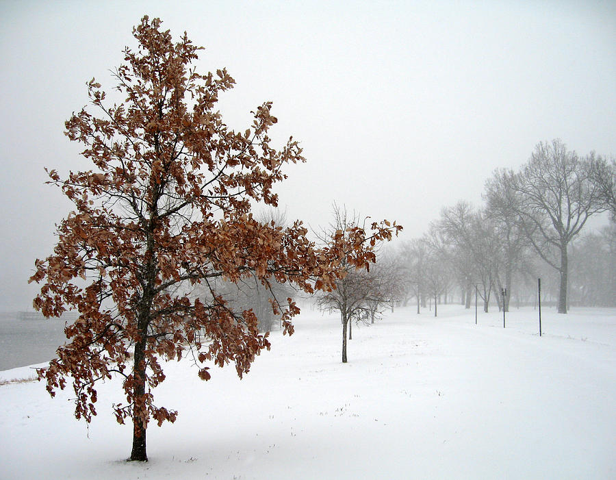 Snow Storm Photograph by Jasons Travel Photography Snow Storm Photograph by Jasons Travel Photography