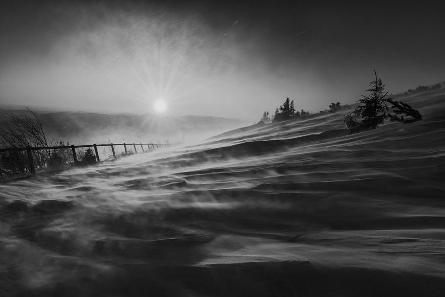 Black And White Photograph - Snow-storm by Marian Kuric