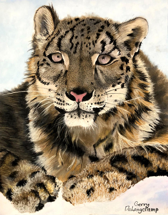 Snow Tiger Pastel by Gerry Delongchamp