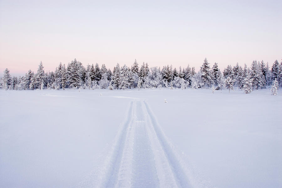 Snow-topped Forest With Snowmobile Photograph by Juhokuva Snow-topped Forest With Snowmobile Photograph by Juhokuva