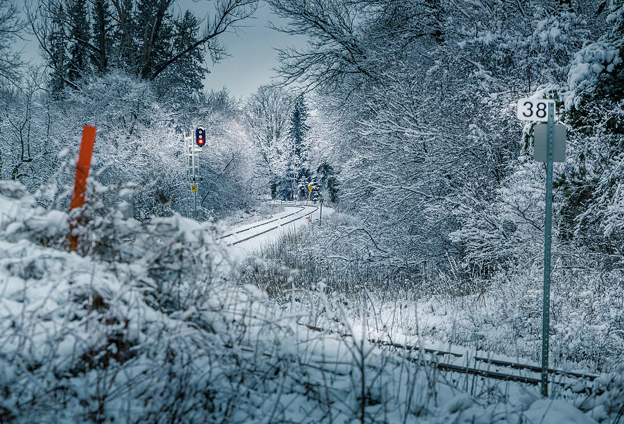 Snow Tracks Photograph