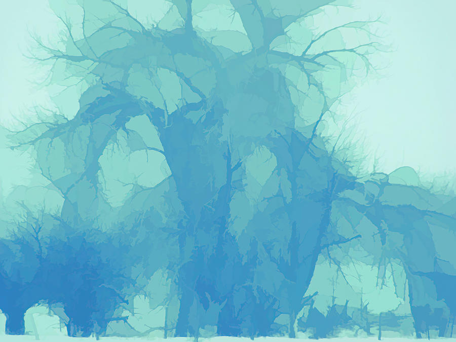 Snow Trees Blues  Digital Art by Cathy Anderson