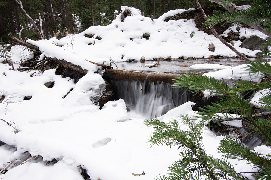 Snow Waterfall Photograph by Dmdcreative Photography