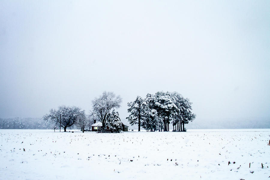 Snowbound -1 Photograph by Alan Hausenflock
