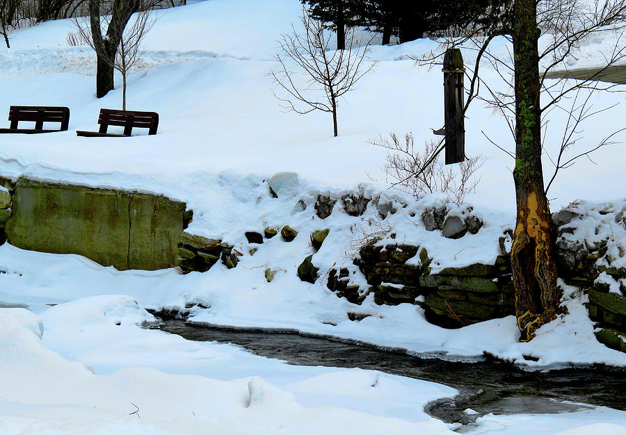 Snowbound Benches by a Frozen Stream in Grafton, Vermont Photograph by Linda Stern