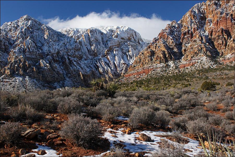 Snowcapped Mountains And Desert Photograph by Photography By R. L. Pniewski