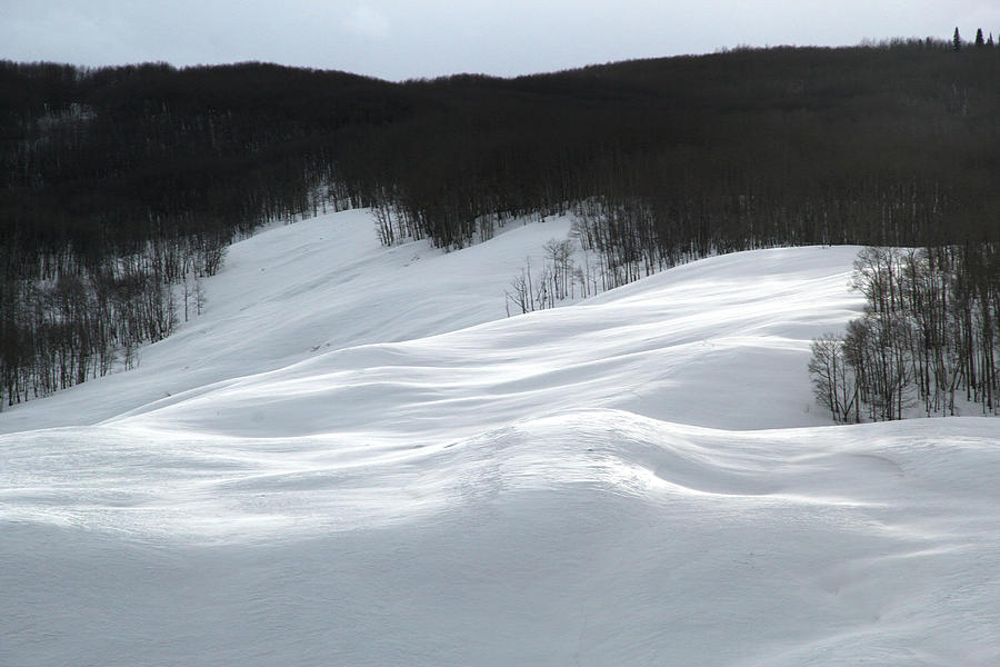 Snowdrift by Marie Leslie Snowdrift by Marie Leslie
