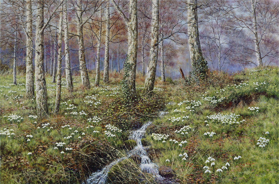 Snowdrop Dell Painting by Bill Makinson
