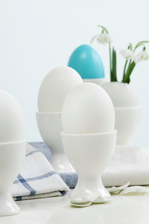 Snowdrops In Easter Eggs Standing In Egg Cups Photograph by Achim Sass