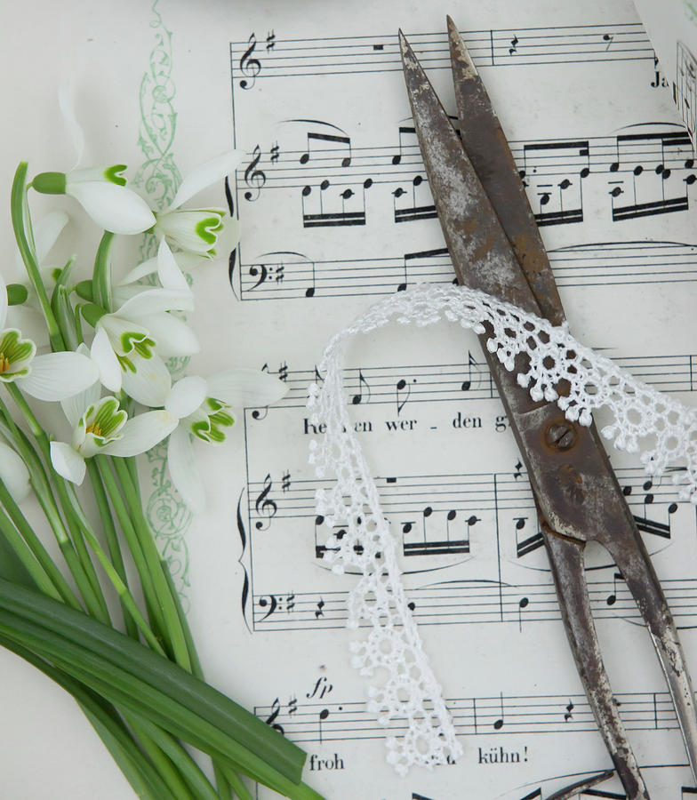 Snowdrops, Lace Ribbon And Scissors On Sheet Music Photograph by Martina Schindler
