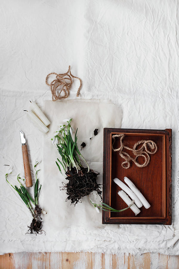 Snowdrops With Root Ball Next To Candles On Wooden Tray Photograph by Alicja Koll