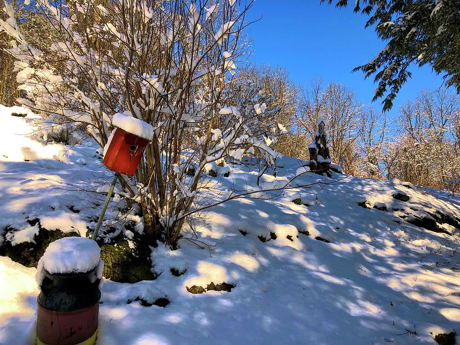 Snowed In by Cornelia DeDona Snowed In by Cornelia DeDona