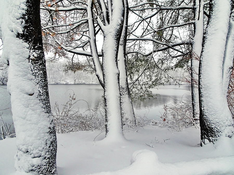 Snowfall in March Photograph by Lyuba Filatova