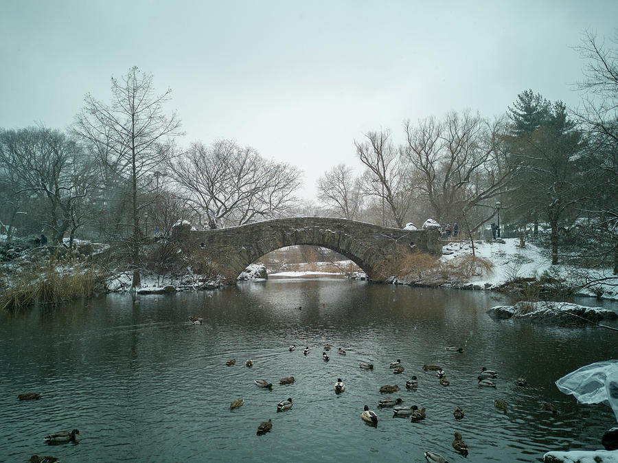 Snowfall on Gapstow Bridge, Central Park, New York City Photograph by ...