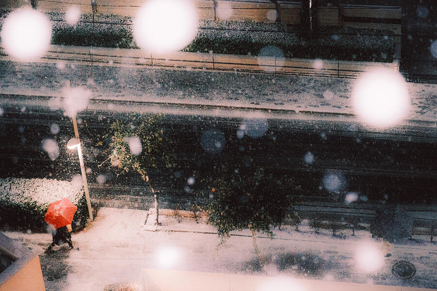 Umbrella Photograph - Snowfall Tokyo by Hidasan
