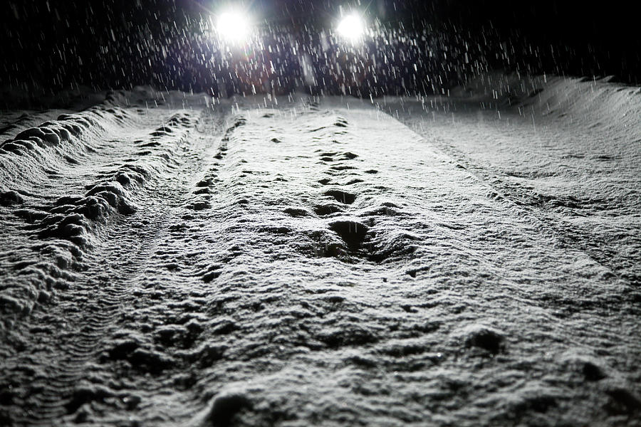 Snowfall Photograph by Tuchkovo