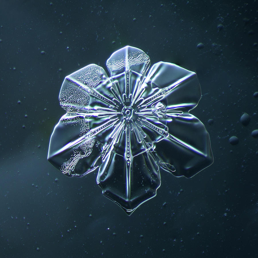 Nature Digital Art - Snowflake 009.2.9.2014 by Print Collection