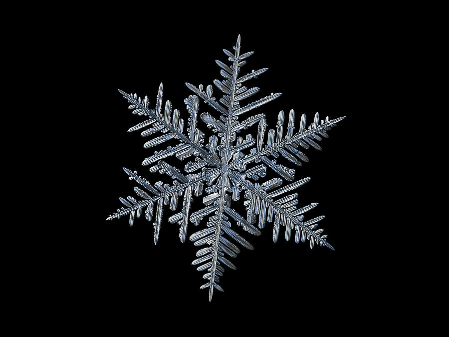 Snowflake 2016-01-21 - 1 black Photograph by Alexey Kljatov